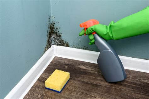 Removing black mold - Scrub the surrounding area, too, not just the visible mold; sometimes small amounts of mold cannot be seen but if left alone, they will grow and spread. After ...
